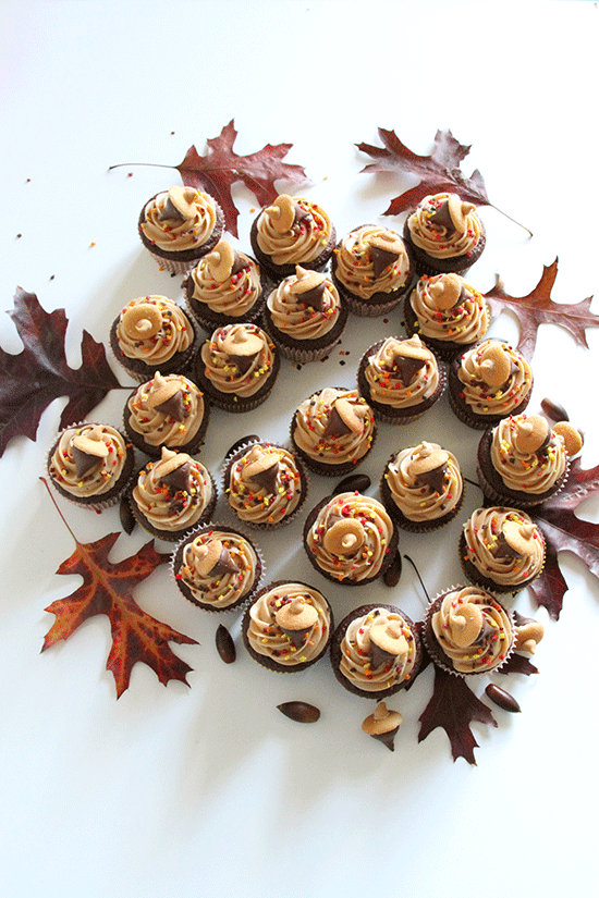 Fall Acorn Cupcakes