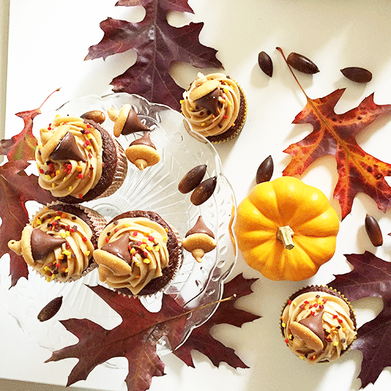 Fall Theme Cupcake
