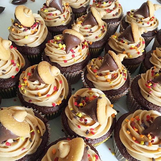 Chocolate Frosting and Maple Brown Cupcakes