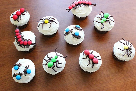 Hello Cupcake Bug Insect Cupcakes Picnic